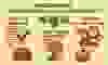 blockchain_1kb.jpg