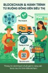 compressed_blockchain_farm_to_store_smaller.jpg